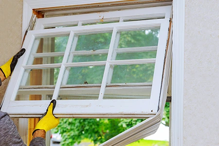 Window Replacement in University Park, FL